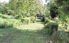 Bema Farm