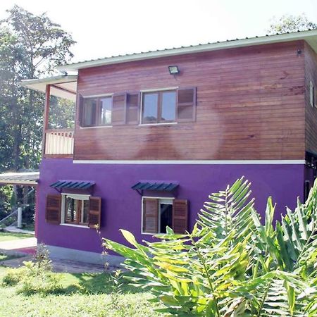 Villa Bema Farm à Sao Jose Extérieur photo