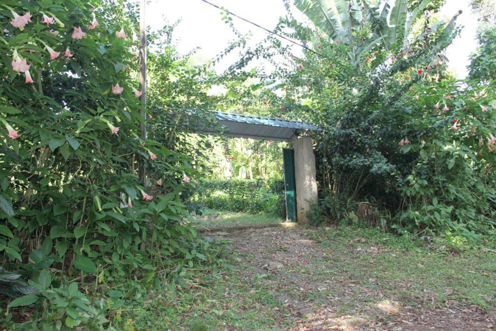 Villa Bema Farm à Sao Jose Extérieur photo